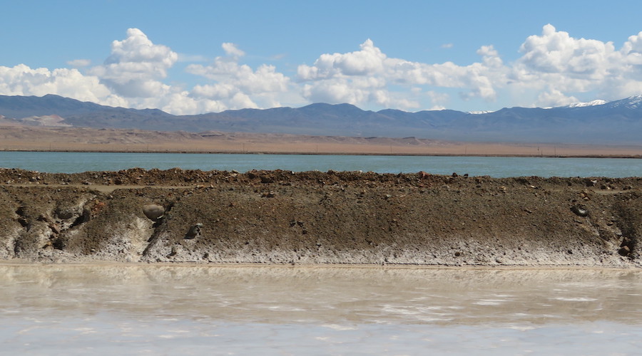 Albemarle may lower capex if lithium prices stay low