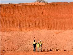 Hummingbird Resources shares collapse after halting Mali mine