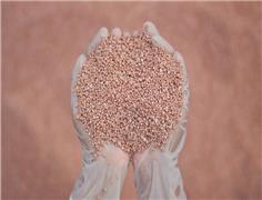 World to face potash price crunch as Brazil Potash propels Autazes project toward production