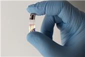 Flexible copper sensor can detect  heavy metals in sweat