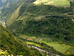 Codelco loses environmental licence for Ecuador copper project