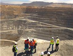 Strike at Mexico gold mine costs Newmont $3.7 million a day
