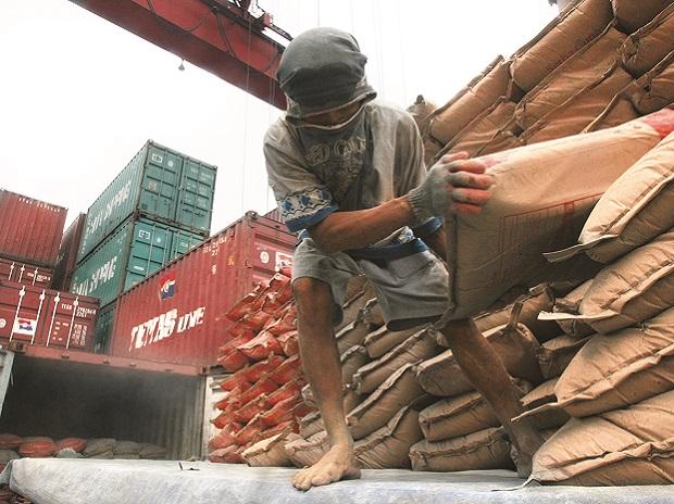 Cement shares rally on gradual pick-up in demand; Birla Corp surges 11%