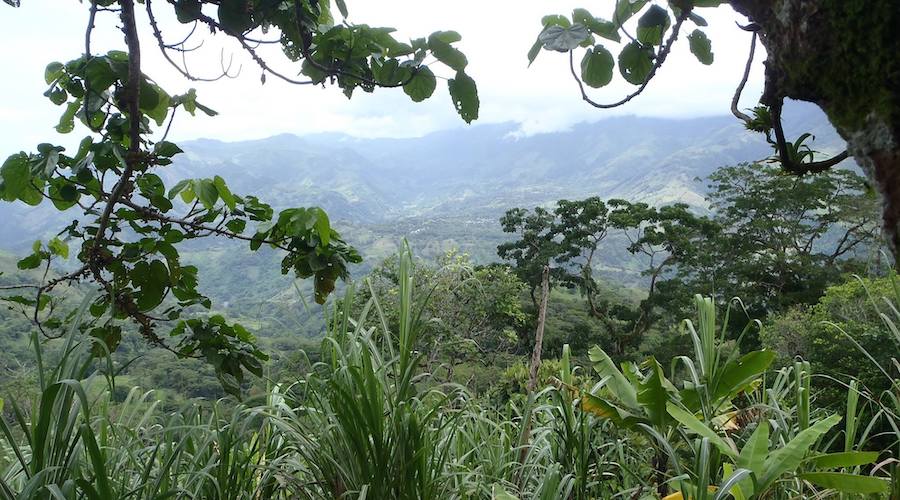 Max Resource expands landholdings in Colombia by 300%