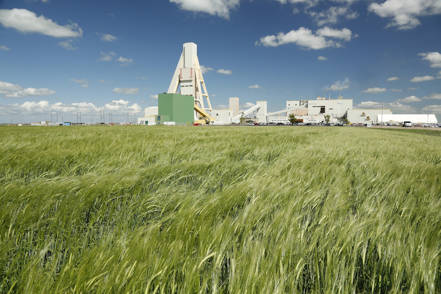 Nutrien boosts outlook for potash sales as fertilizer surges