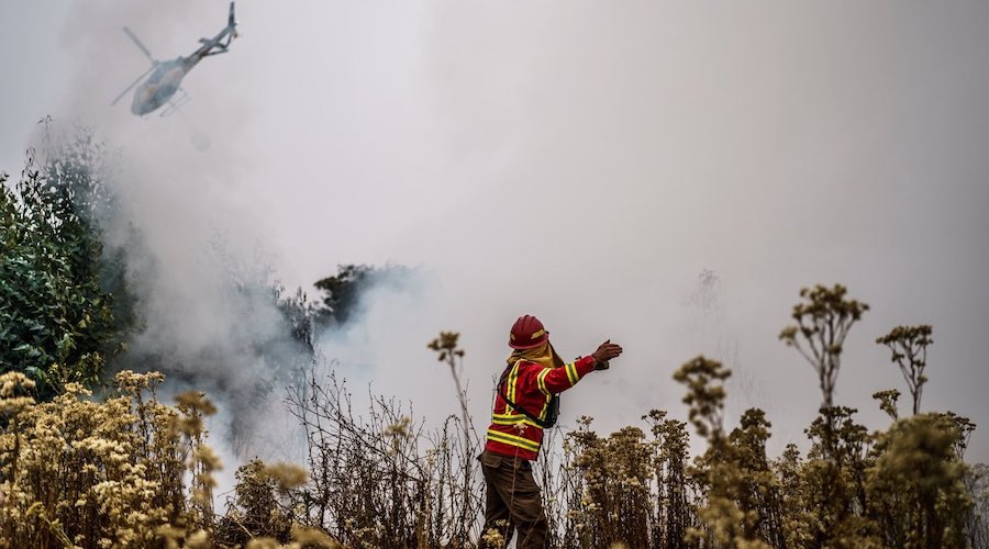 Chile battles forest fires in deadliest disaster in 14 years