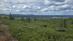 Vale makes third payment to Cyclone for Iron Bear development