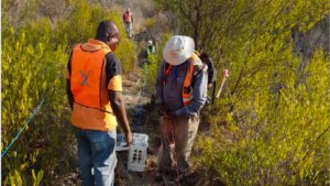 Mining right granted for Zeb nickel project; URU raises £1.1m