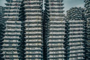 Disruption and dislocation: LME metals’ year in seven charts