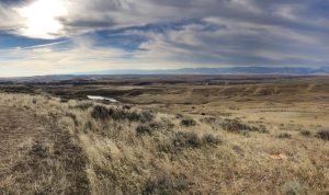 Mulberry Industries, Ramaco Resources enter rare earth offtake MOU for Brook mine