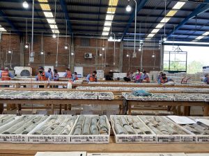 Vizsla Silver says 10 employees abducted in Sinaloa