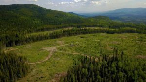 American Eagle Gold plans largest drill programme on NAK yet