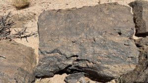 Kendrick completes internal review of Namibia rare earth targets