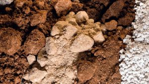 Aclara garners enviro approval for Penco Module rare earths project in Chile