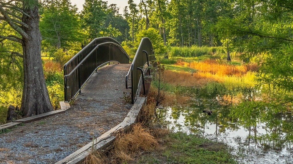 Woodside Energy pledges $5m restore native habitats in Louisiana