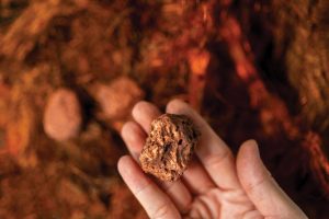 Jericho’s first mining area is ‘exceeding all our expectations’