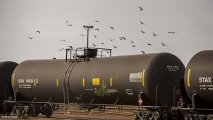 US oil production rises to record high in April, EIA says