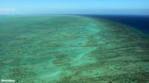 Deep-sea mining threatens molluscs holding promise for science