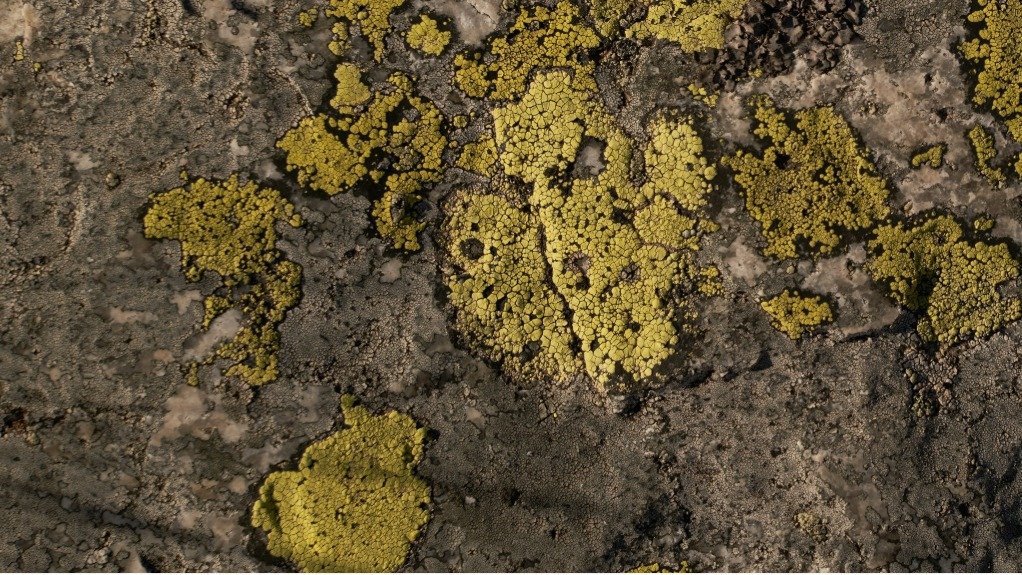 American Uranium on track to upgrade mineral resource, publish scoping study soon at Lo Herma