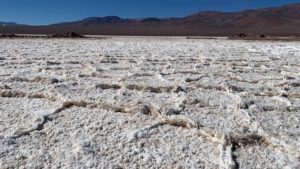 Codelco sees lithium project in Chile’s Maricunga salt flat feasible in eight more years