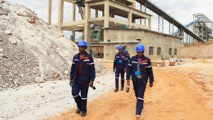 Zimbabwe’s sole lithium salt plant unable to process third-party metal,