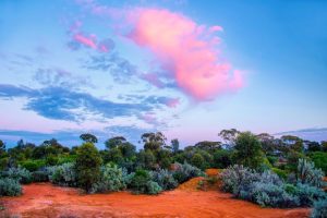 Agreement set to bolster Goldfields power resilience