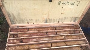 Ionic launches strategic review of Uganda rare earths project