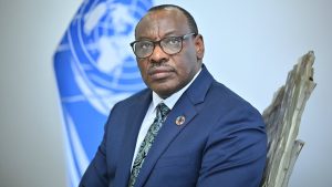 SADC can be a testing ground for turning African minerals into development
