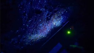 Australian tungsten explorer Apollo expands drill target footprint in France