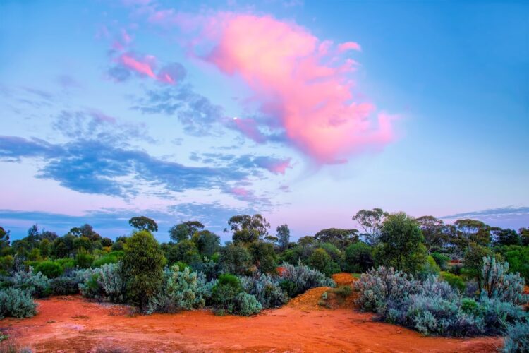 Emerald clears final hurdle at Dingo Range