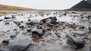 Glencore, Peabody and Heeney Capital weigh Venezuela coal deals