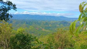 Madagascar formalises Harena’s Ampasindava exploitation permit